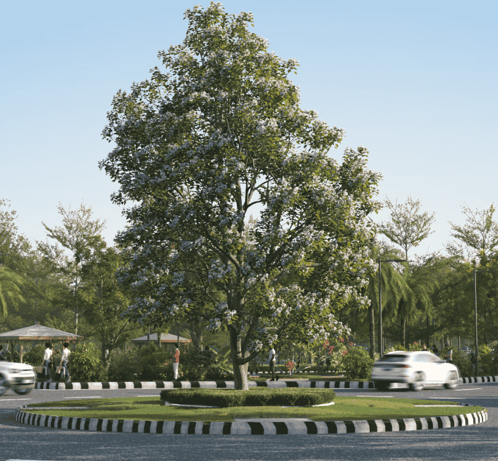 NeoCity Roundabout Landscaping